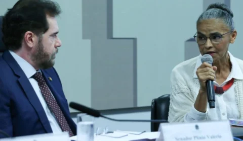 Plínio diz que teve que se conter para não ‘enforcar’ Marina durante CPI das Ongs