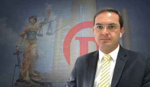 TJAM age contra desmatamento e incêndios em Parintins; órgãos de segurança investigam