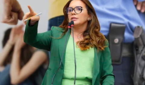 Projeto aprovado por Alessandra Campelo desarma policiais violentos e aumenta proteção às mulheres 