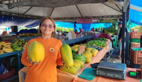 TEIMOSA E ABUSADA: O RETRATO DA MULHER EMPREENDEDORA PÓS 40