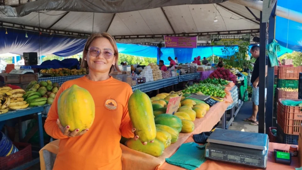 TEIMOSA E ABUSADA: O RETRATO DA MULHER EMPREENDEDORA PÓS 40