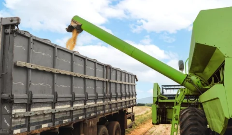 Sicredi anuncia R$ 68 bilhões em recursos para o Plano Safra