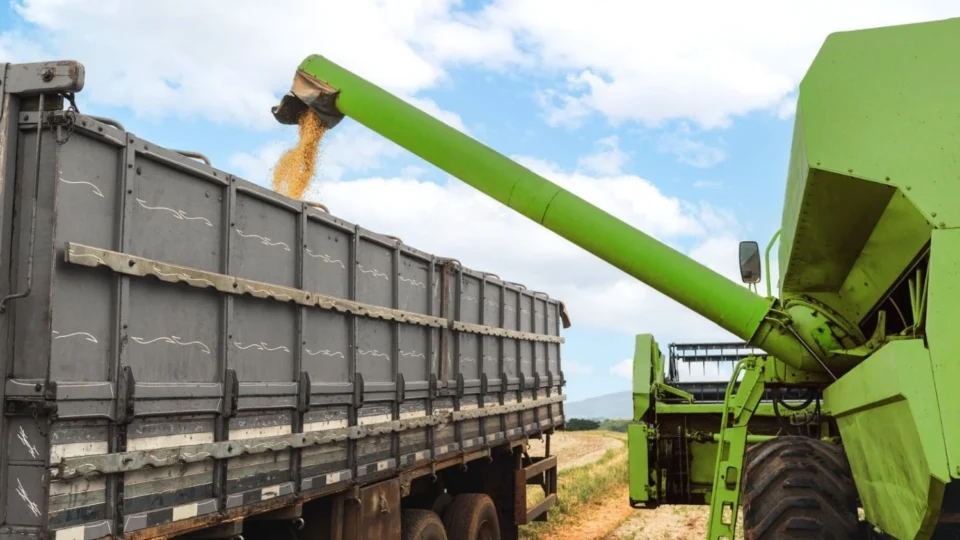 Sicredi anuncia R$ 68 bilhões em recursos para o Plano Safra