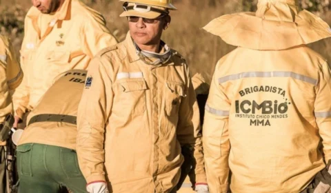 ICMBio abre processo seletivo para chefes de brigada contra incêndios florestais em Roraima