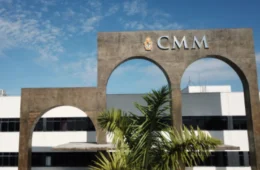 Falsa advogada com passagem por gabinetes políticos no AM é presa em Teresina