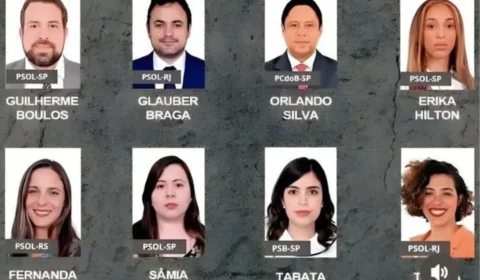 Tolerância zero? Proposta de castração química volta à pauta sob forte cobrança popular