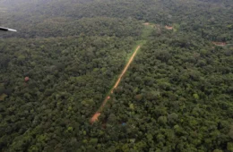 MPF denuncia ‘vácuo’ de fiscalização e pede plano urgente contra pistas clandestinas no AM
