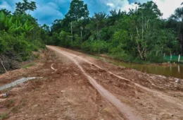 Braga anuncia edital de R$ 670 milhões para pavimentação do ‘trecho do meio’ da BR-319