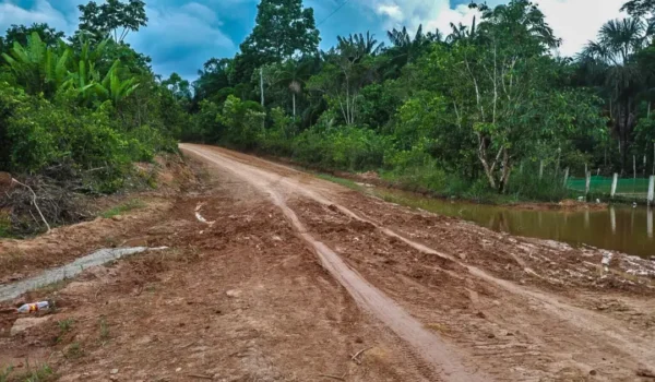 TRF-1 autoriza retomada de licitações para obras na BR-319