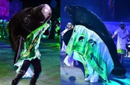 TCE-AM aponta falta de transparência no Festival do Peixe-Boi e cobra correções