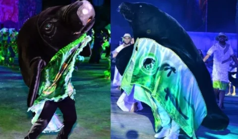 TCE-AM aponta falta de transparência no Festival do Peixe-Boi e cobra correções