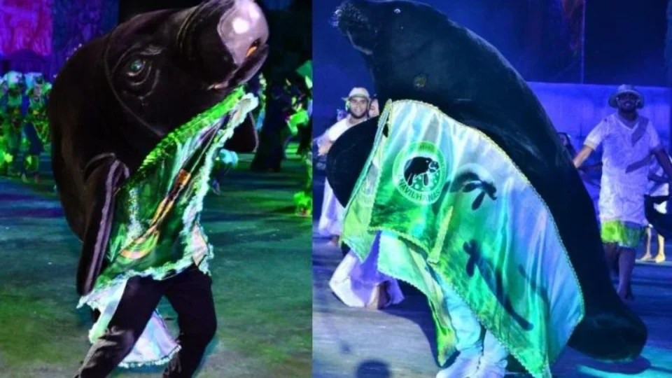 TCE-AM aponta falta de transparência no Festival do Peixe-Boi e cobra correções