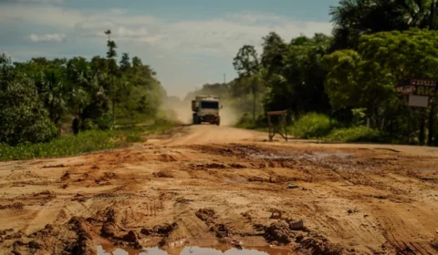 BR-319: Dnit marca para maio abertura de propostas para obras no ‘Trecho do Meio’