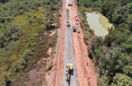 Justiça Federal suspende editais para obras na BR-319 e políticos reagem