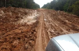 Observatório do Clima aciona Justiça Federal para barrar asfaltamento da BR-319