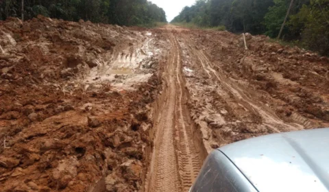 Observatório do Clima aciona Justiça Federal para barrar asfaltamento da BR-319