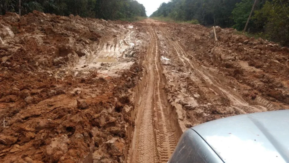 Observatório do Clima aciona Justiça Federal para barrar asfaltamento da BR-319