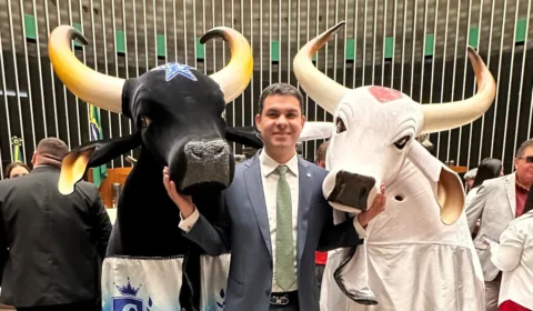 Saullo Vianna homenageia Festival de Parintins na Câmara dos Deputados