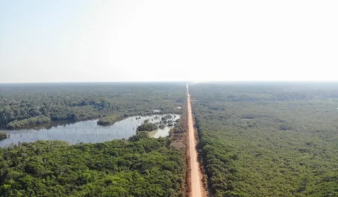 Licitação do trecho central da BR-319 avança com habilitação de empresa para obra