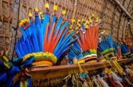 MPF aciona Justiça para garantir psicólogos em atendimento a indígenas no Amazonas