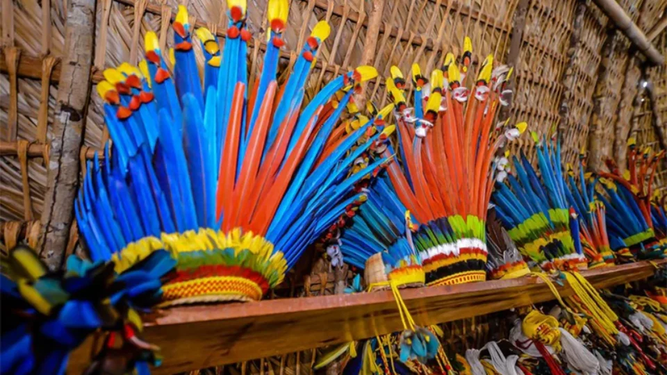 MPF aciona Justiça para garantir psicólogos em atendimento a indígenas no Amazonas