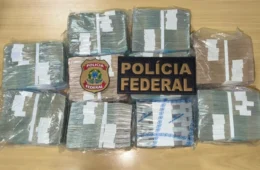 Com R$ 1 milhão em espécie, homem é preso pela PF durante ação contra crimes eleitorais em Manaus